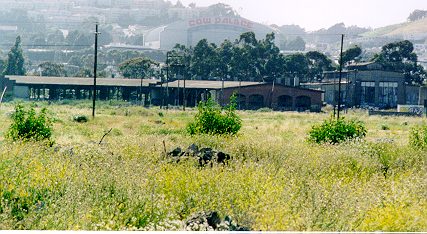 Remnants of the Bayshore Yard